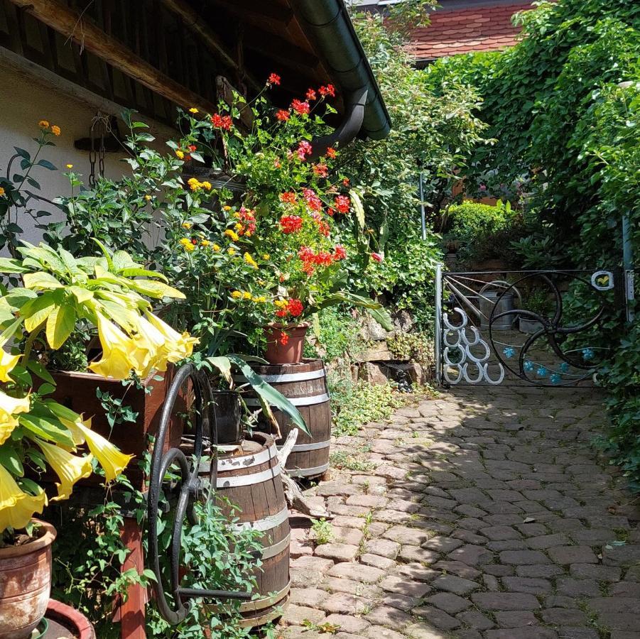 Beim Schlafwandler Apartment Karlsbad Exterior photo